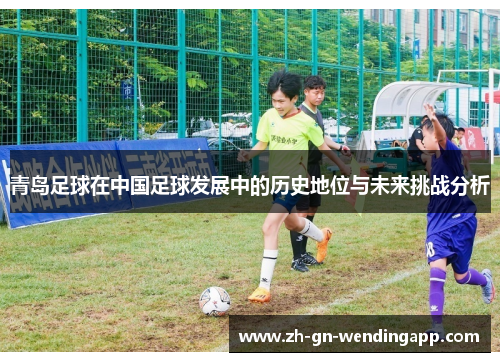青岛足球在中国足球发展中的历史地位与未来挑战分析