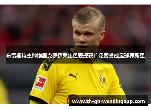 布雷斯特主帅埃里克罗伊凭出色表现获广泛赞誉成足球界新星